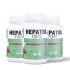 Hepatol Forte  (2+1) 