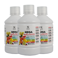 Mega Multivitamin  (2+1)